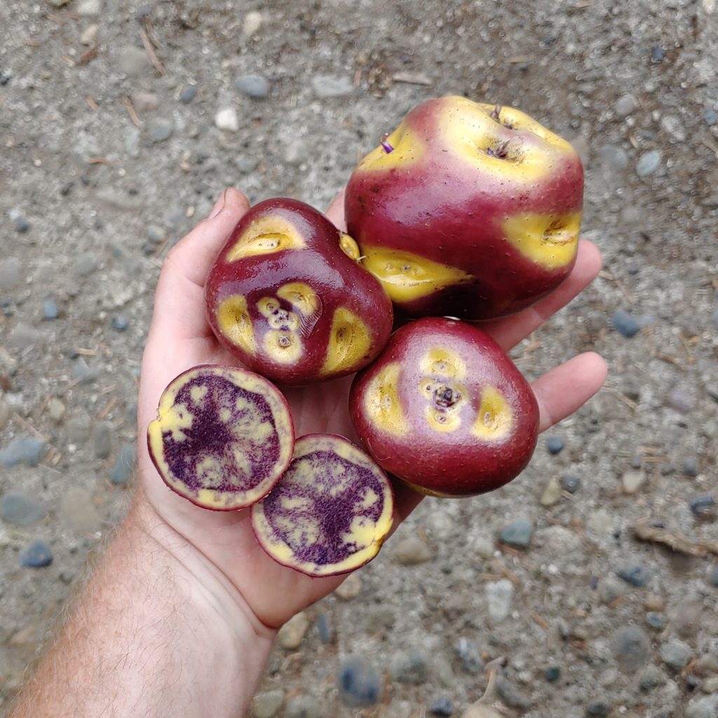 Cultivariable