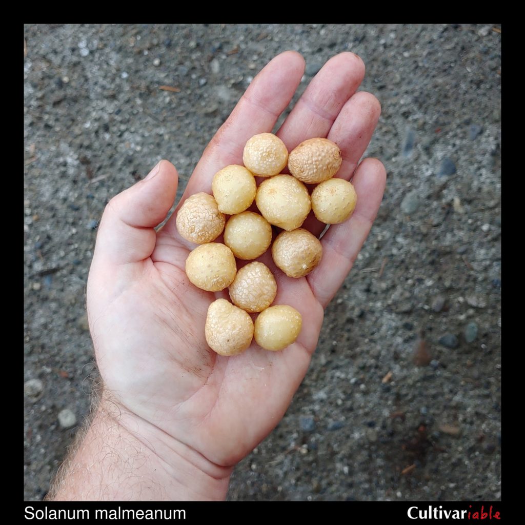 Cultivariable